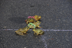 Frog Jumping Contest